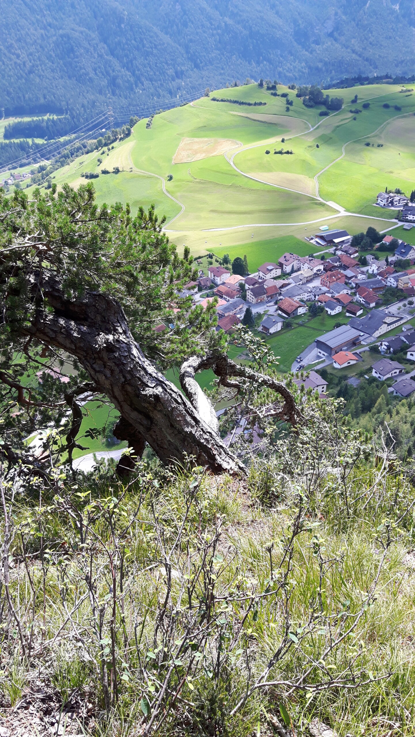 Alvaneu-Ansicht von oben