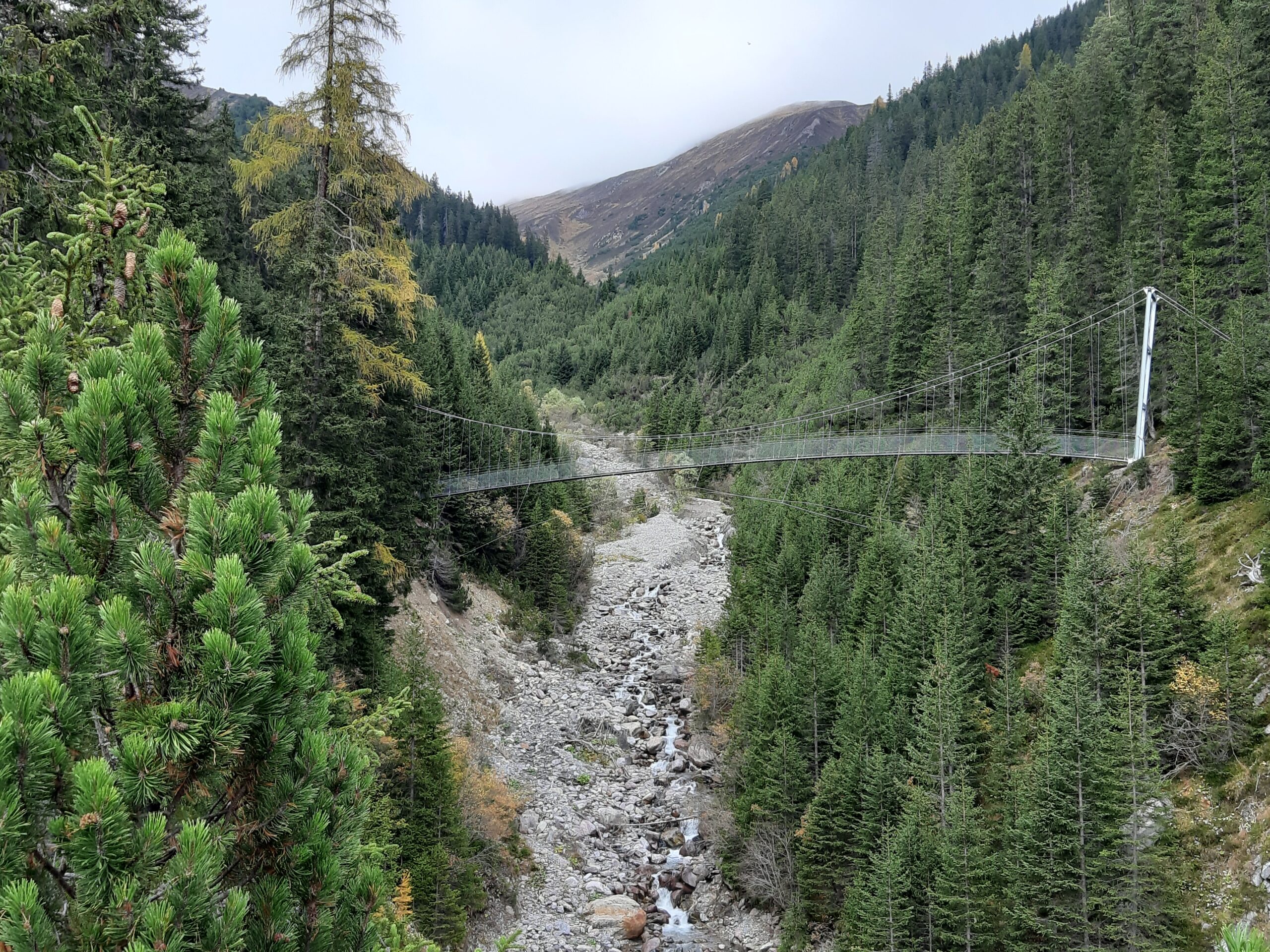 Wandern bei Alvaneu, Hängebrücke