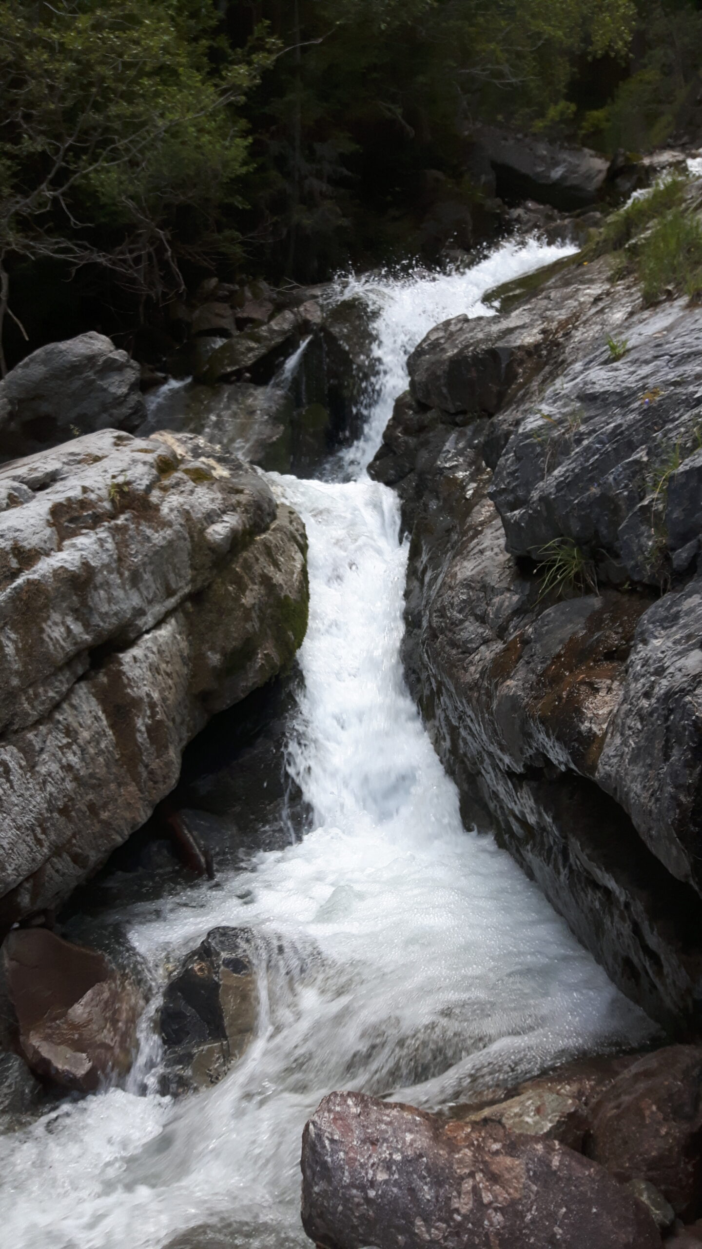 Alvaneu Wandern zum Wasserfall