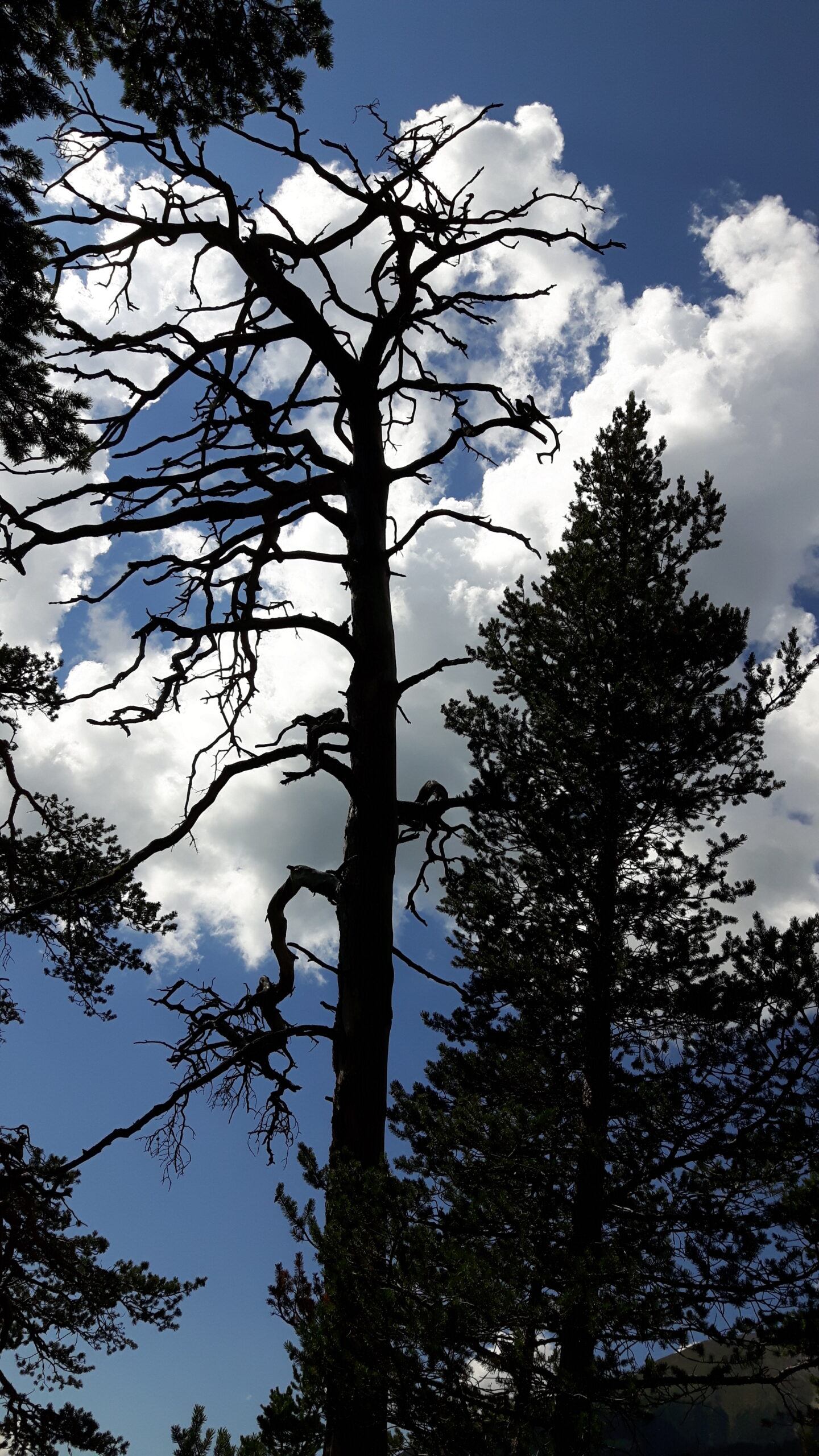 Alvaneu, Wandern in der Umgebung