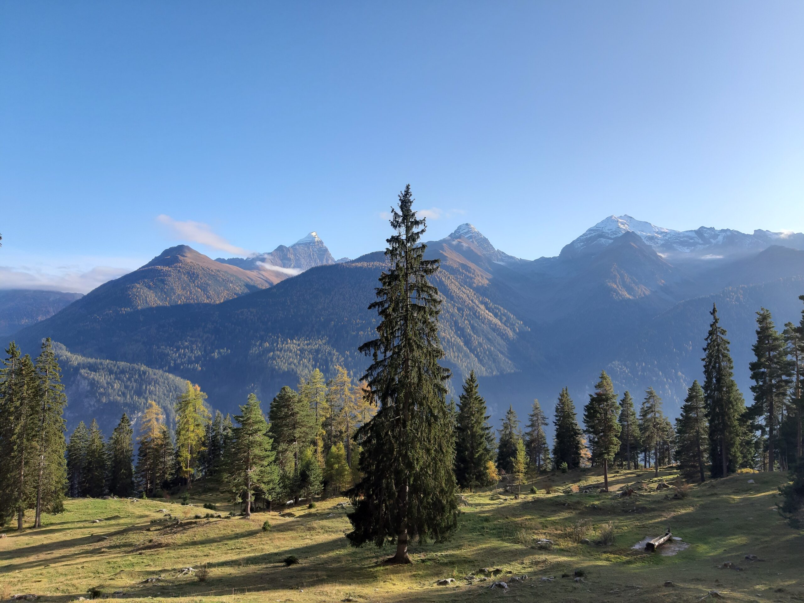 Weg zur Alp da la Creusch, Blick auf Piz Ela, Tinzenhorn und Piz Mitgel