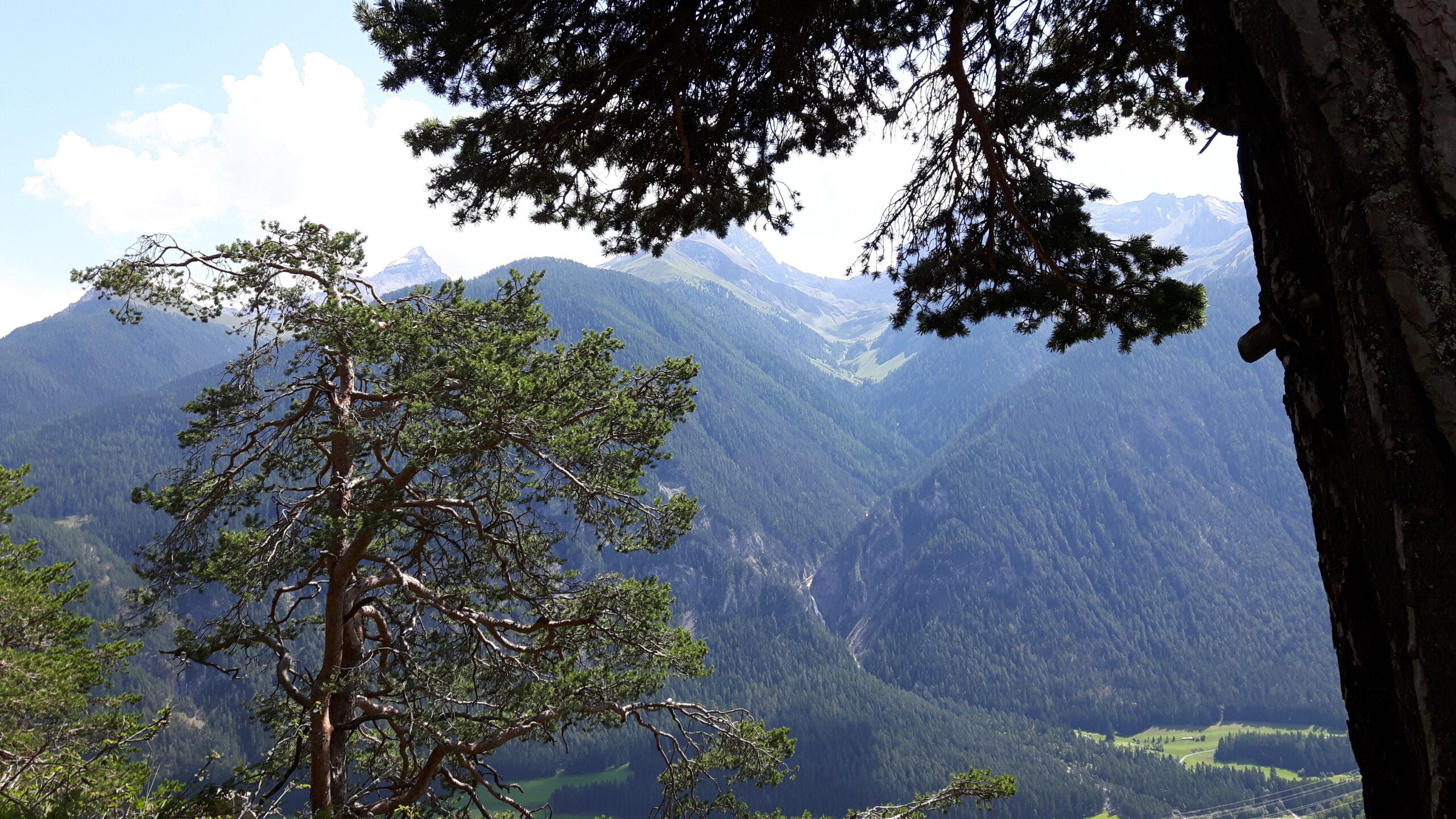 Avaneu, Blick zum Schaftobel