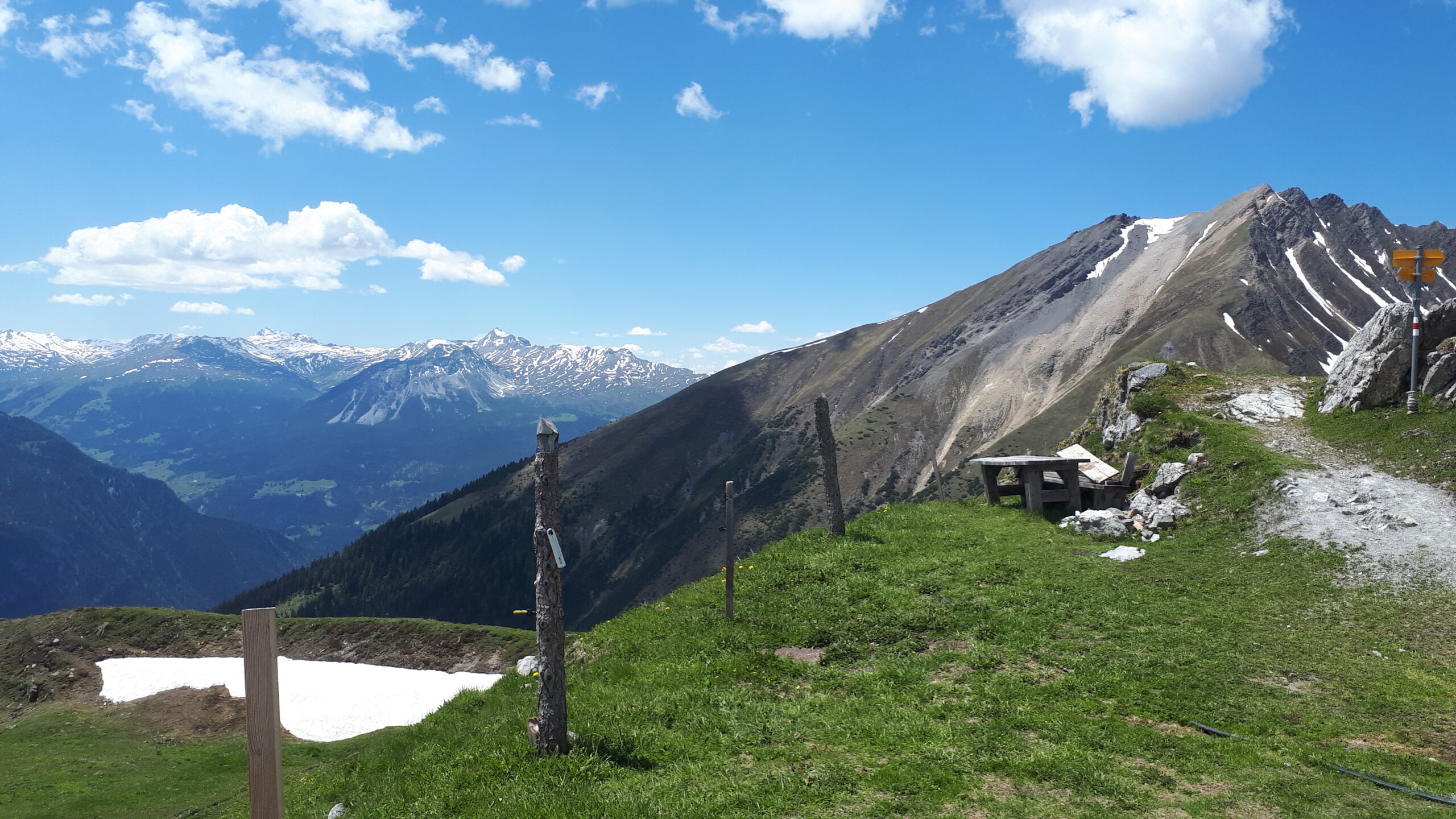 Auf der Alp da la Creusch