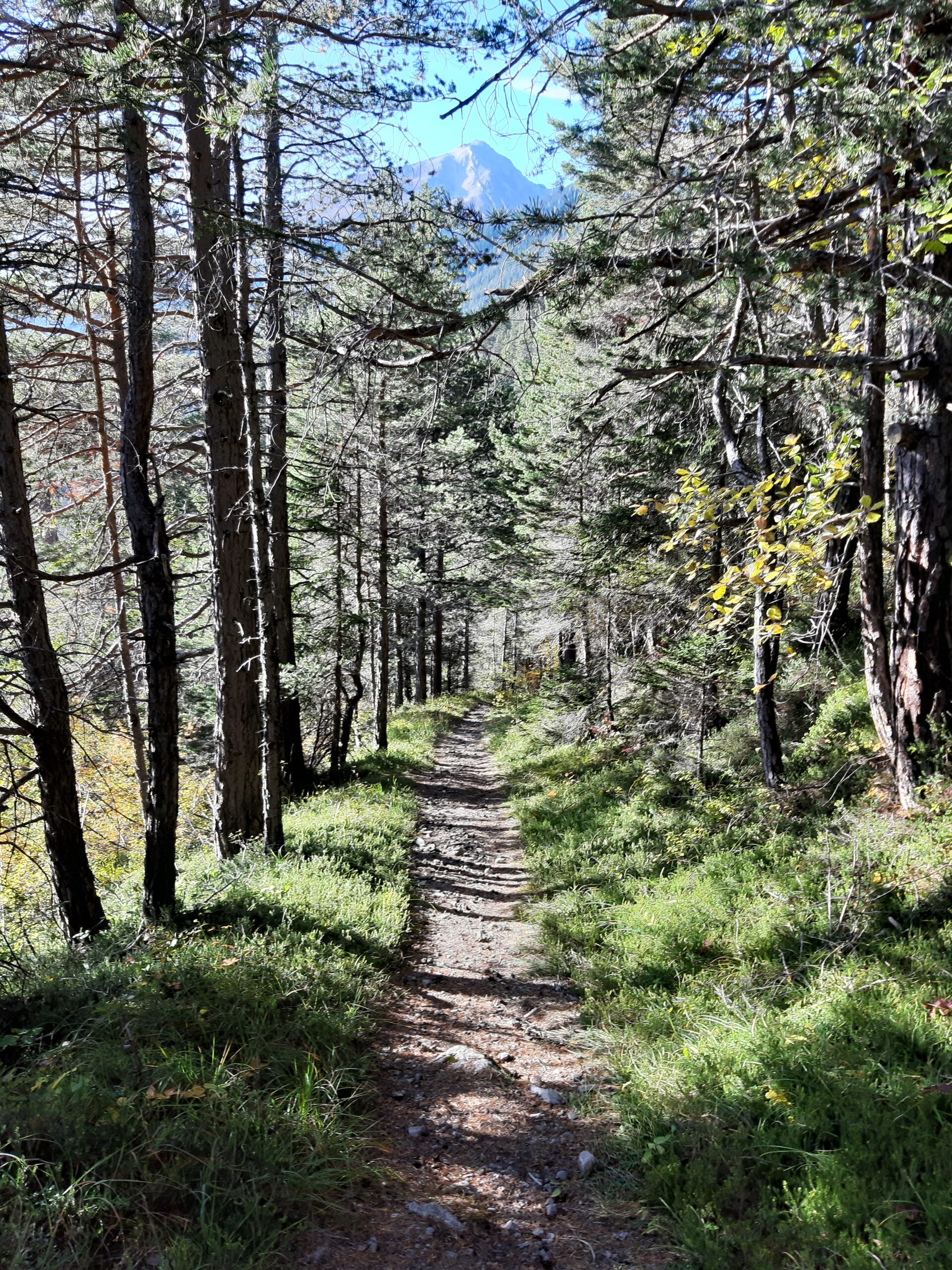 Alvaneu, Wandern von der Haustüre aus