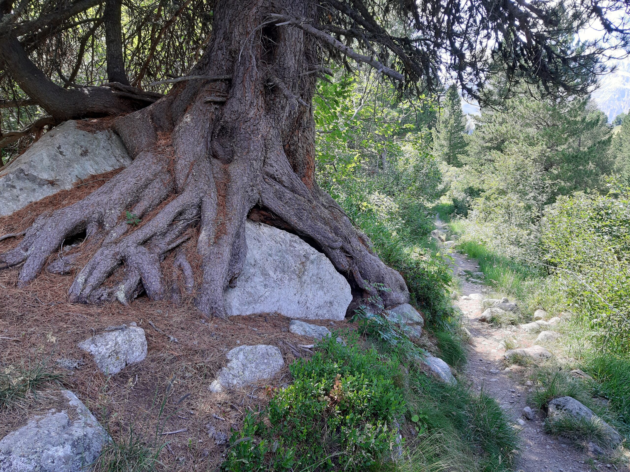 Albulatal, Wandern und Biken